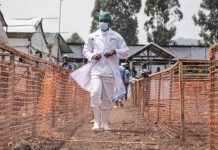 Mpox is not the new COVID – WHO Mpox is not the new COVID - WHO