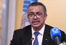 WHO chief discusses mpox outbreak with UN agencies in Congo WHO chief discusses mpox outbreak with UN agencies in Congo