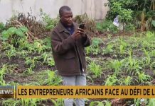 Electricity, internet gaps hinder AI adoption in Africa Electricity, internet gaps hinder AI adoption in Africa