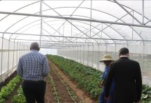 World Bank doubles agribusiness commitment to $9B annually World Bank doubles agribusiness commitment to $9B annually