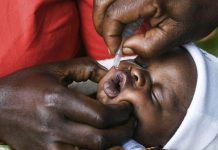 Africa reports 134 new polio cases on World Polio Day Africa reports 134 new polio cases on World Polio Day