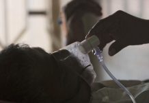 WHO reports record 8 million TB cases last year WHO reports record 8 million TB cases last year