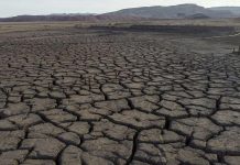 Over 75% of earth’s land is permanently drying: UN report Over 75% of earth's land is permanently drying: UN report