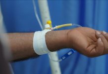 Malaria cases grew by 11M in 2023 from year before, says World Health Organization Malaria cases grew by 11M in 2023 from year before, says World Health Organization