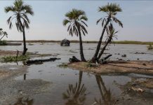 World Bank official warns of ‘too many’ deaths if climate change finances not met World Bank official warns of 'too many' deaths if climate change finances not met