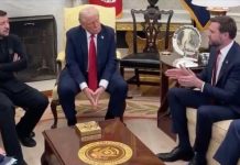 Trump envoy reveals Zelenskyy apologized for Oval Office debacle Trump envoy reveals Zelenskyy apologized for Oval Office debacle