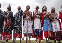 Maasai women turn to cricket farming for sustainability Maasai women turn to cricket farming for sustainability