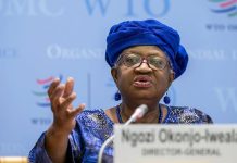 World Trade Organization says global trade could slide this year due to tariffs World Trade Organization says global trade could slide this year due to tariffs