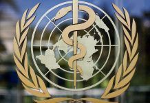 Global life expectancy plunges as WHO warns of deepening health crisis Post-COVID Global life expectancy plunges as WHO warns of deepening health crisis Post-COVID
