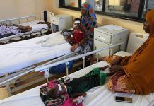 Global hunger worsened in 2024, affecting 295 mln people: UN report Global hunger worsened in 2024, affecting 295 mln people: UN report