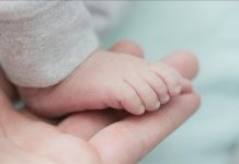 Global fertility decline sparks alarm: Experts Global fertility decline sparks alarm: Experts