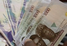 AfDB Downgrades Africa Growth Outlook Amid Resilience Signs AfDB Downgrades Africa Growth Outlook Amid Resilience Signs