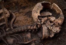 DNA shows West African roots in 7th-century England DNA shows West African roots in 7th-century England