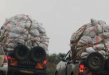 Police Crackdown on Miraa Vehicles Defying Traffic Rules Police Crackdown on Miraa Vehicles Defying Traffic Rules
