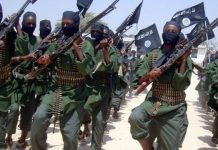 KDF Kills 5 Al Shabaab Militants in Boni Forest KDF Kills 5 Al Shabaab Militants in Boni Forest