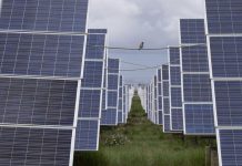 Africa Sees 60% Increase in Chinese Solar Panel Imports Africa Sees 60% Increase in Chinese Solar Panel Imports