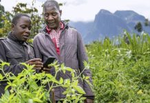 farmers turn to AI to boost their yields farmers turn to AI to boost their yields