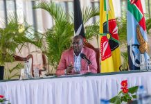 Sh5bn Nyota fund finally takes off, to benefit 100k youth Sh5bn Nyota fund finally takes off, to benefit 100k youth