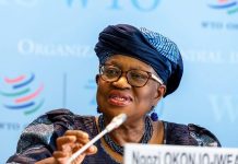 WTO Increases 2025 Global Trade Growth Forecast WTO Increases 2025 Global Trade Growth Forecast