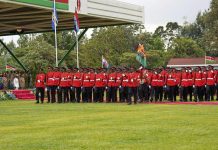 Kenyan guard killed in attack outside Presidential office Kenyan guard killed in attack outside Presidential office