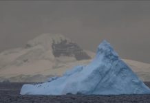 Antarctica Rapid Ice Loss Mirrors Greenland Meltdown Antarctica Rapid Ice Loss Mirrors Greenland Meltdown