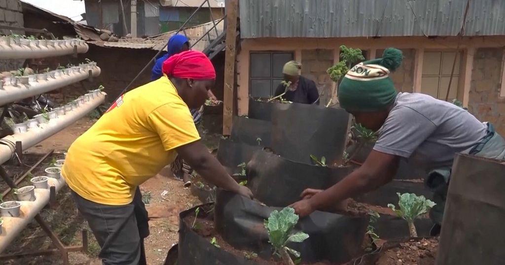 Nubian Women Reviving Traditional Agriculture in Nairobi Nubian Women Reviving Traditional Agriculture in Nairobi
