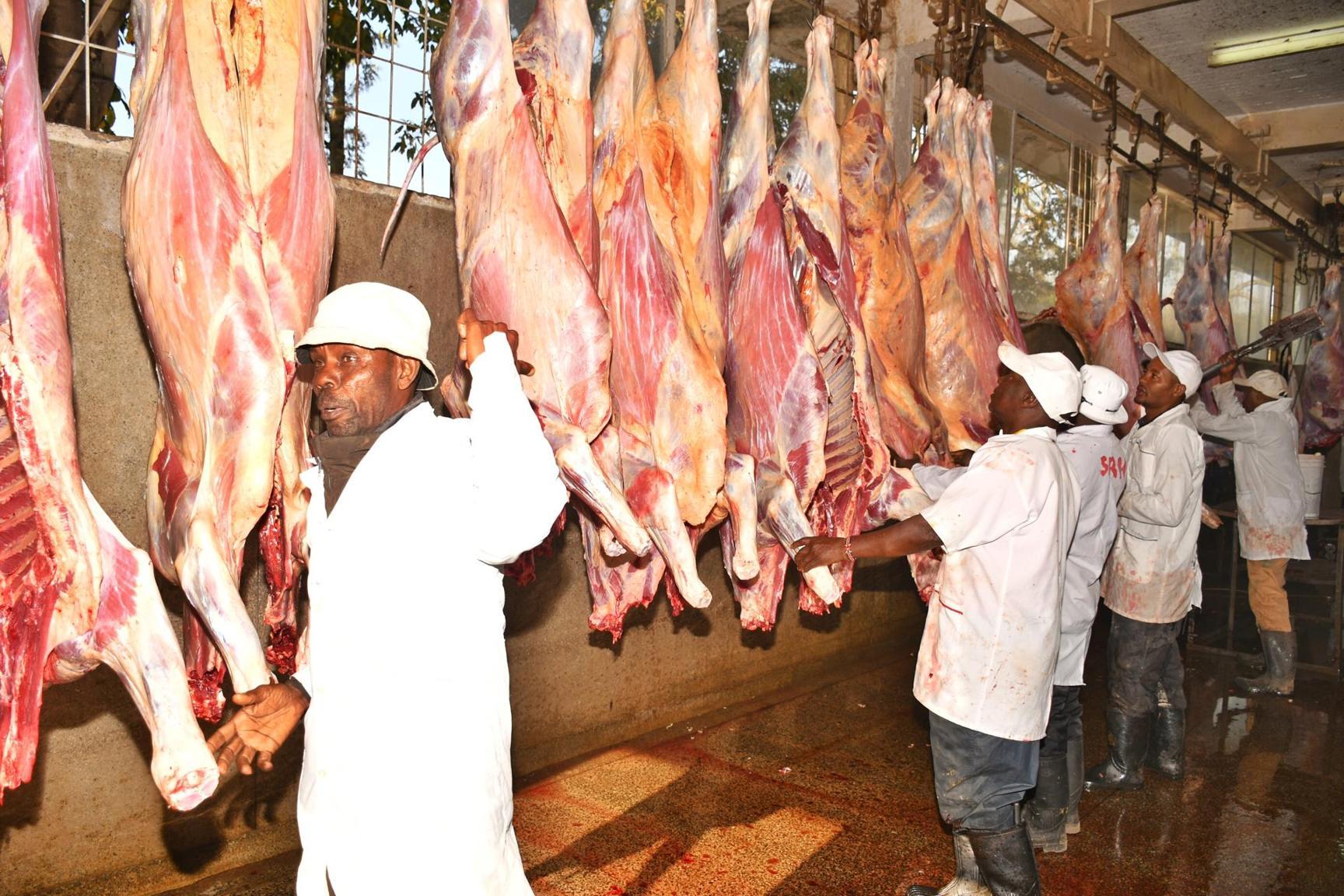 Kenya Eyes Meat Export Boom as Global Demand Surges Kenya Eyes Meat Export Boom as Global Demand Surges