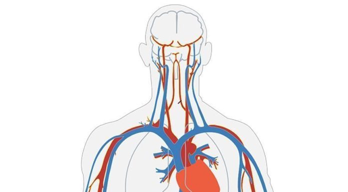 Microrobots Swim through Blood to Deliver Drugs: Study Microrobots Swim through Blood to Deliver Drugs: Study