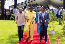 President Ruto Unveils Sh110 Billion Investment Plan President Ruto Unveils Sh110 Billion Investment Plan