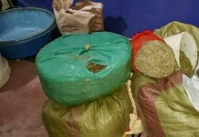 Police Recover 20 Kilograms of Cannabis in Embakasi Police Recover 20 Kilograms of Cannabis in Embakasi