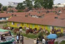 Court Halts Evictions and Demolitions at Makongeni Estate Court Halts Evictions and Demolitions at Makongeni Estate
