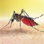 Kenya’s Malaria Cases Rise Slowly But Not Among Worst Kenya's Malaria Cases Rise Slowly But Not Among Worst
