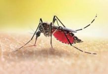 Kenya’s Malaria Cases Rise Slowly But Not Among Worst Kenya's Malaria Cases Rise Slowly But Not Among Worst