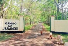 Beryl Odinga’s Burial at Kang’o ka Jaramogi Explained Beryl Odinga's Burial at Kang'o ka Jaramogi Explained