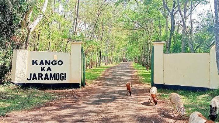 Beryl Odinga's Burial at Kang'o ka Jaramogi Explained Beryl Odinga's Burial at Kang'o ka Jaramogi Explained