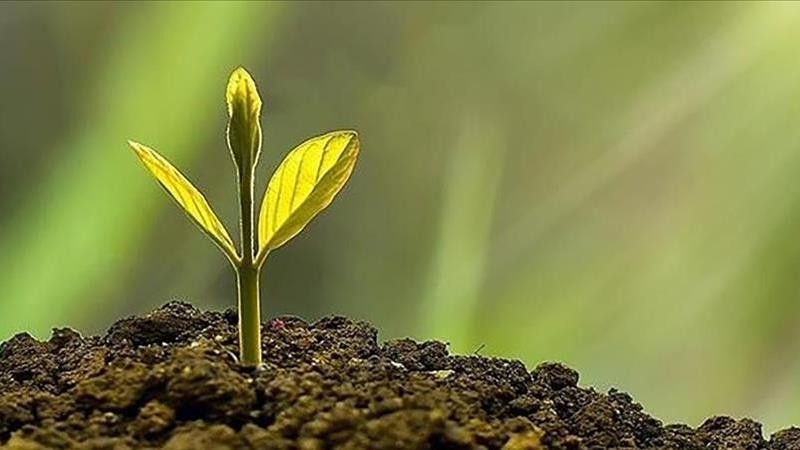 A Decade After Paris Agreement Progress and Promises A Decade After Paris Agreement Progress and Promises