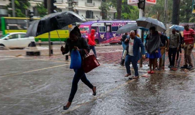 Rainfall Expected Across Regions as Strong Winds Hit North Rainfall Expected Across Regions as Strong Winds Hit North