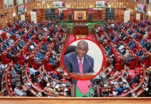 Caroli Omondi Blames Political Parties for Weak Parliament Caroli Omondi Blames Political Parties for Weak Parliament