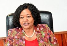 Tourism Supply and Demand Distortions in Kenya Tourism Supply and Demand Distortions in Kenya