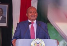 Wildlife Park Fees Expected to Reach Sh11 Billion Wildlife Park Fees Expected to Reach Sh11 Billion