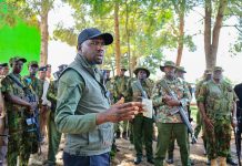 Five guns surrendered in Trans Mara amid security crackdown Five guns surrendered in Trans Mara amid security crackdown