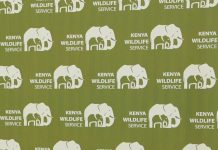 Kenyans Protest Elephants Killing Four People Kenyans Protest Elephants Killing Four People