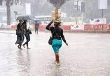 Kenya Met Forecasts Rain Followed by Sunny Weather Kenya Met Forecasts Rain Followed by Sunny Weather