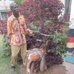 Siaya Man Explains Killing Python and Reporting It Siaya Man Explains Killing Python and Reporting It