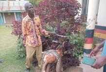 Siaya Man Explains Killing Python and Reporting It Siaya Man Explains Killing Python and Reporting It