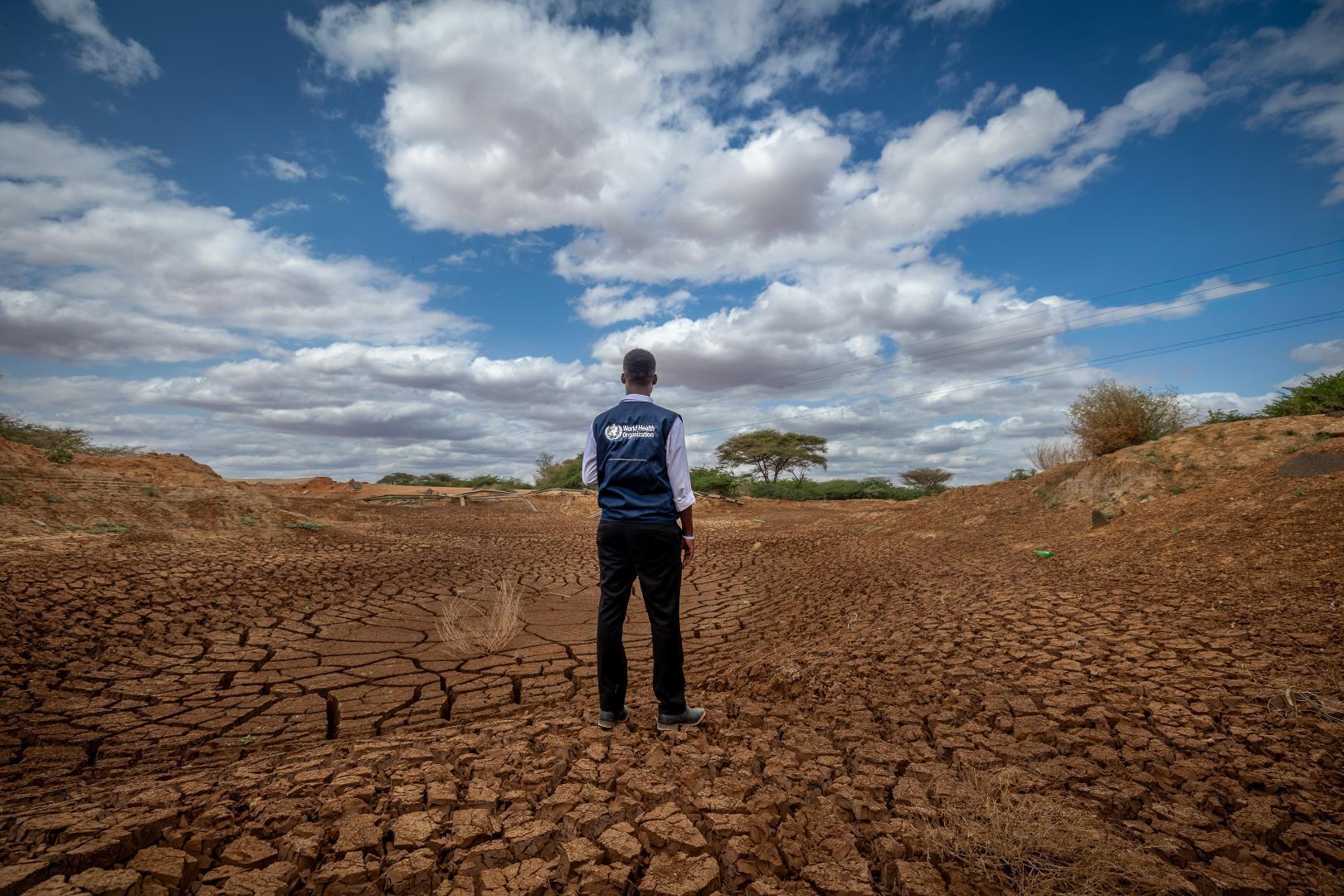 Prolonged drought in Kenya leaves millions vulnerable Prolonged drought in Kenya leaves millions vulnerable