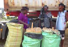 Multi-Agency Team Seizes Bhang Worth Sh6.1 Million Multi-Agency Team Seizes Bhang Worth Sh6.1 Million