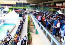 Over 100 Firms Struck Off Companies Register Amid Layoffs Over 100 Firms Struck Off Companies Register Amid Layoffs