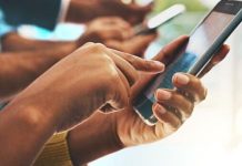 Agriculture Ministry Flags Fake KALRO Accounts Defrauding Agriculture Ministry Flags Fake KALRO Accounts Defrauding