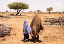 Food crisis as Kenya faces worst dryness in 45 years Food crisis as Kenya faces worst dryness in 45 years